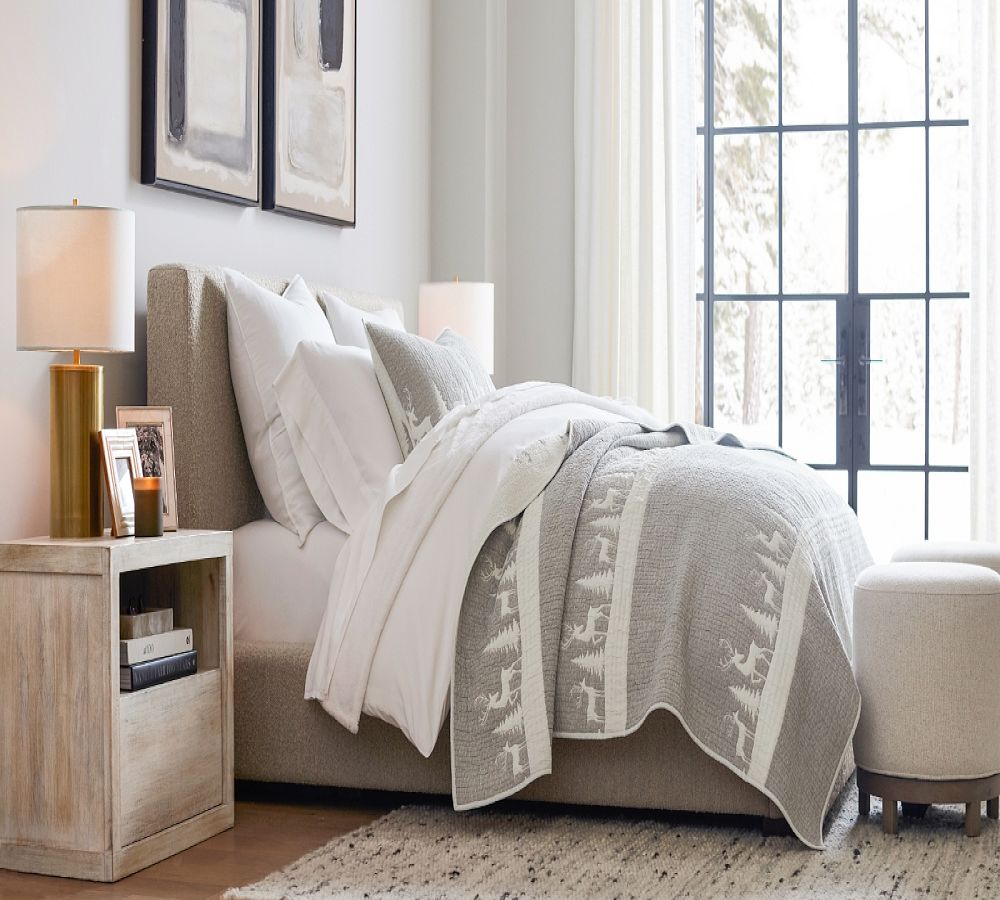 Pottery Barn Dream Brushed Organic Cotton Pillowcases - Set of 2