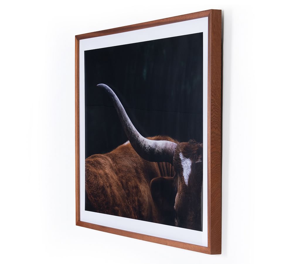 Pottery Barn Longhorn Lull Framed Print
