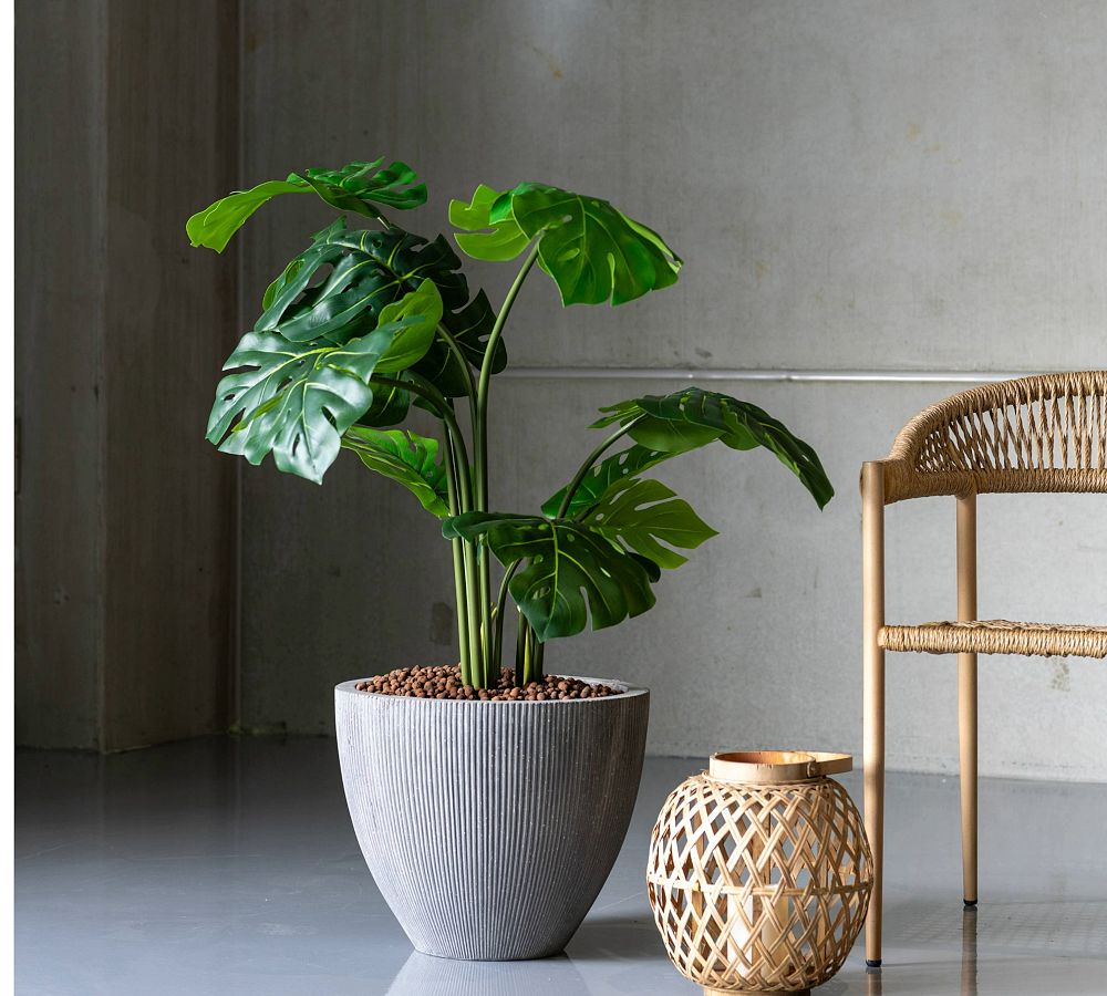 Pottery Barn Ridged Short Tapered Cylinder Ficonstone Planter