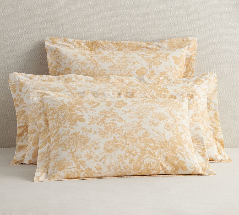 Pottery Barn Sorrel Toile Duvet Cover