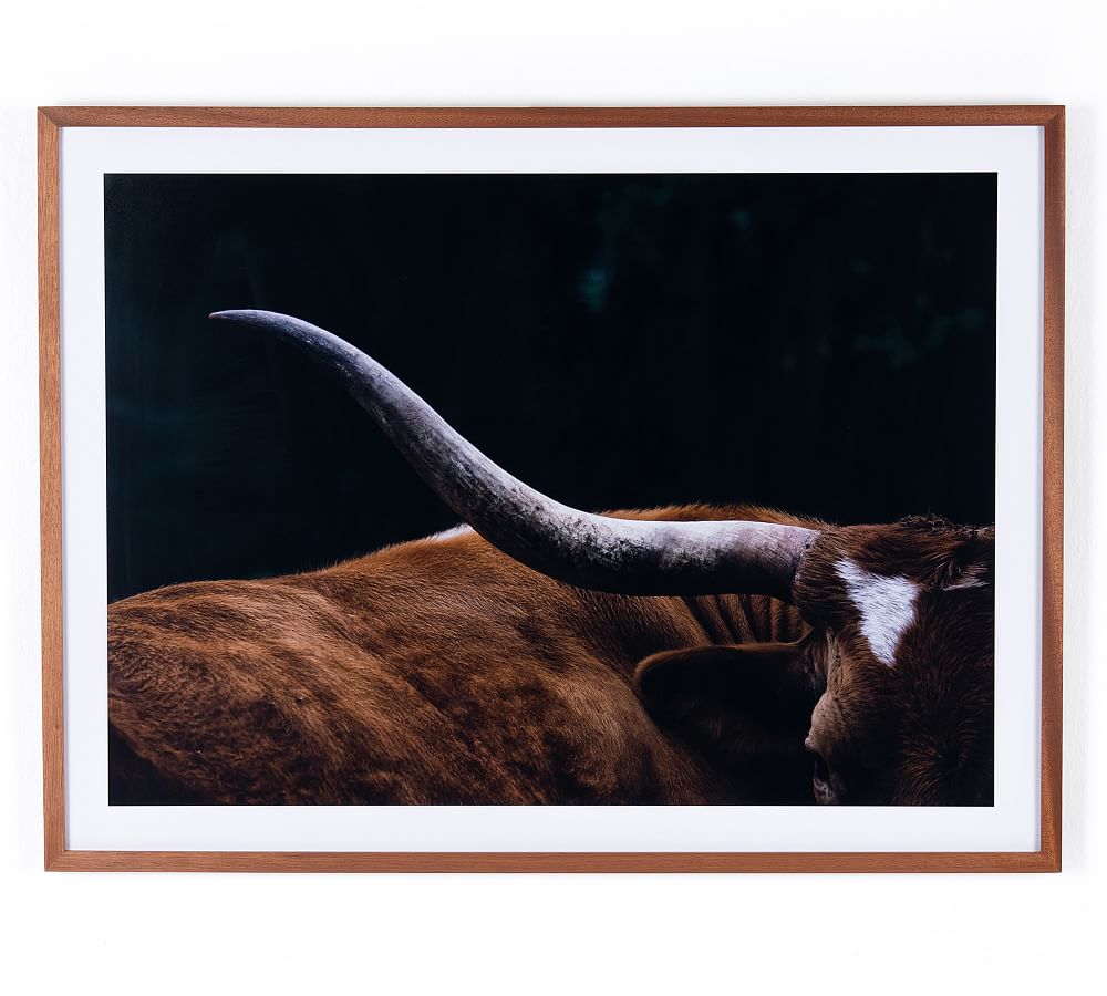 Pottery Barn Longhorn Lull Framed Print