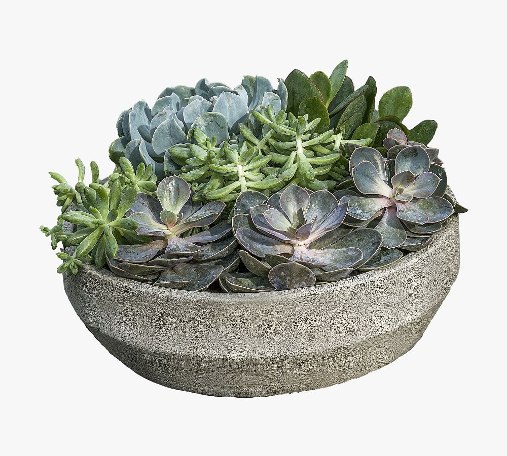 Pottery Barn Baylee Beveled Planter