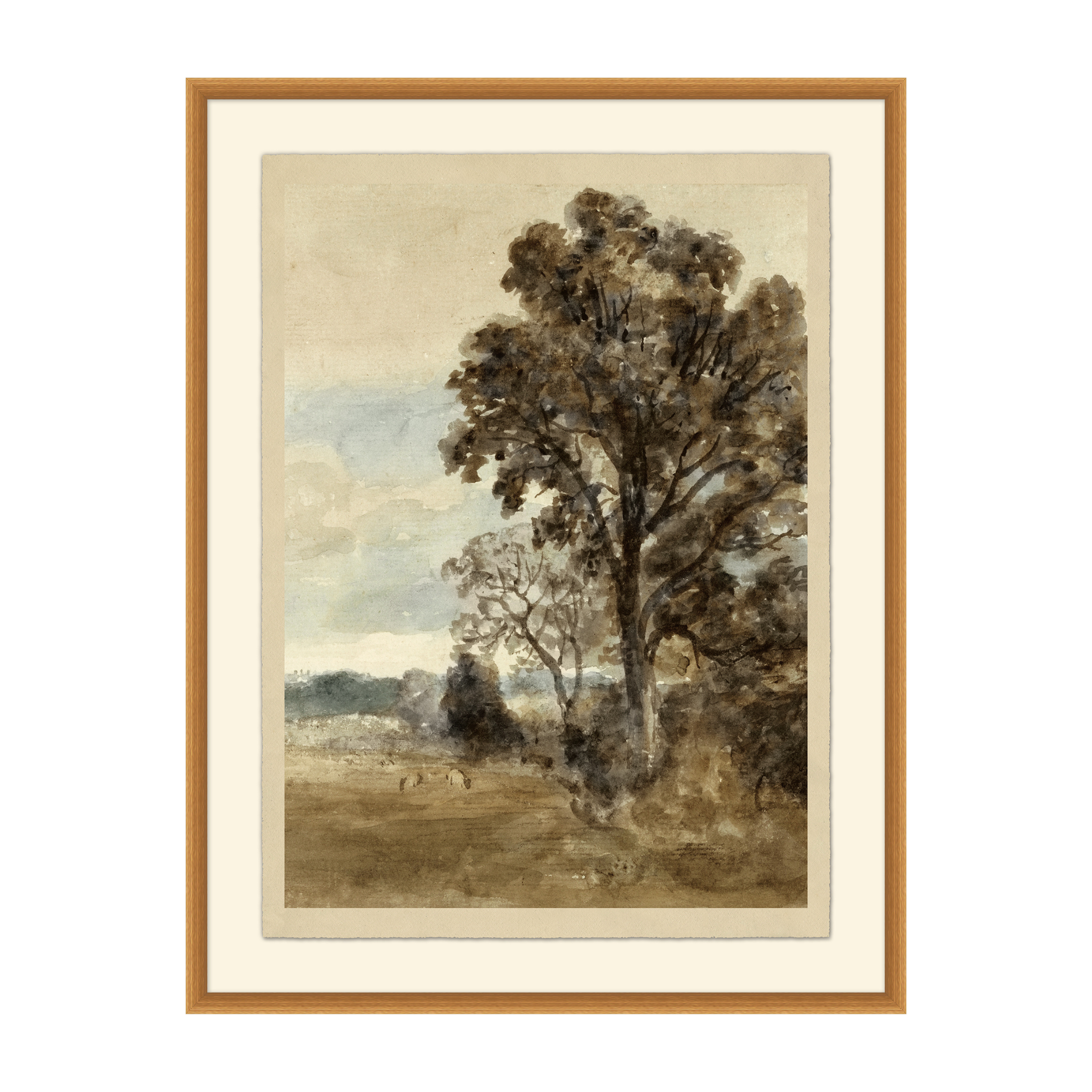 Magnolia Maple Study