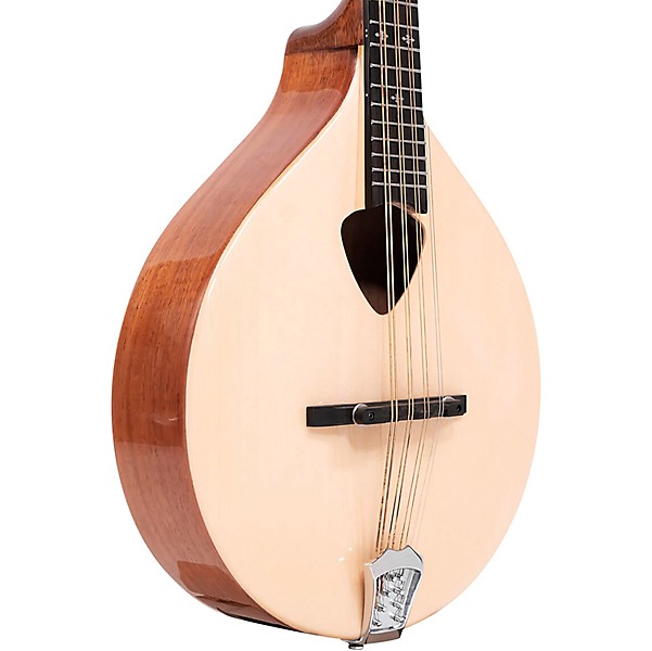 Gold Tone Traditional Irish Mandola with Case
