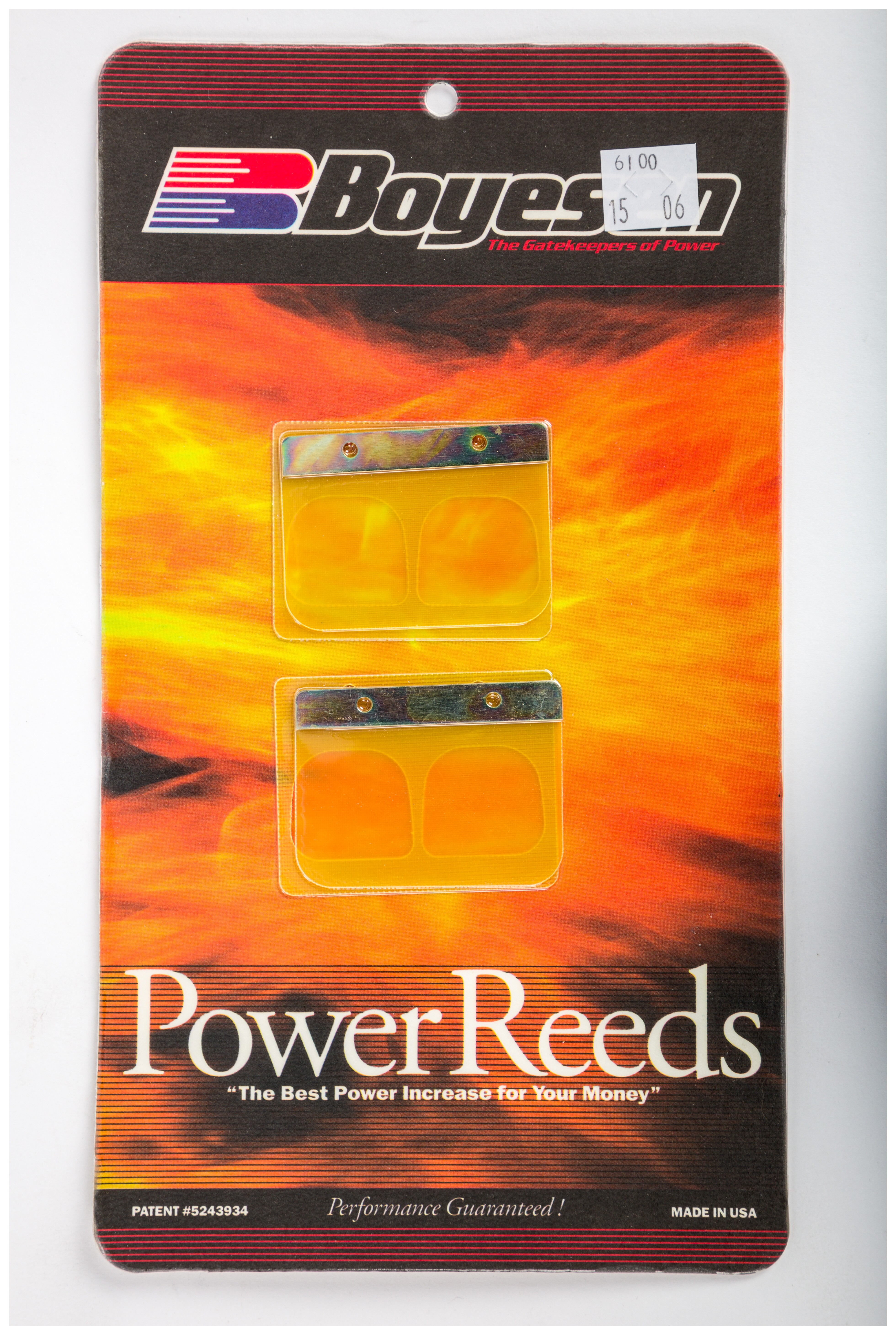 Boyesen Power Reeds