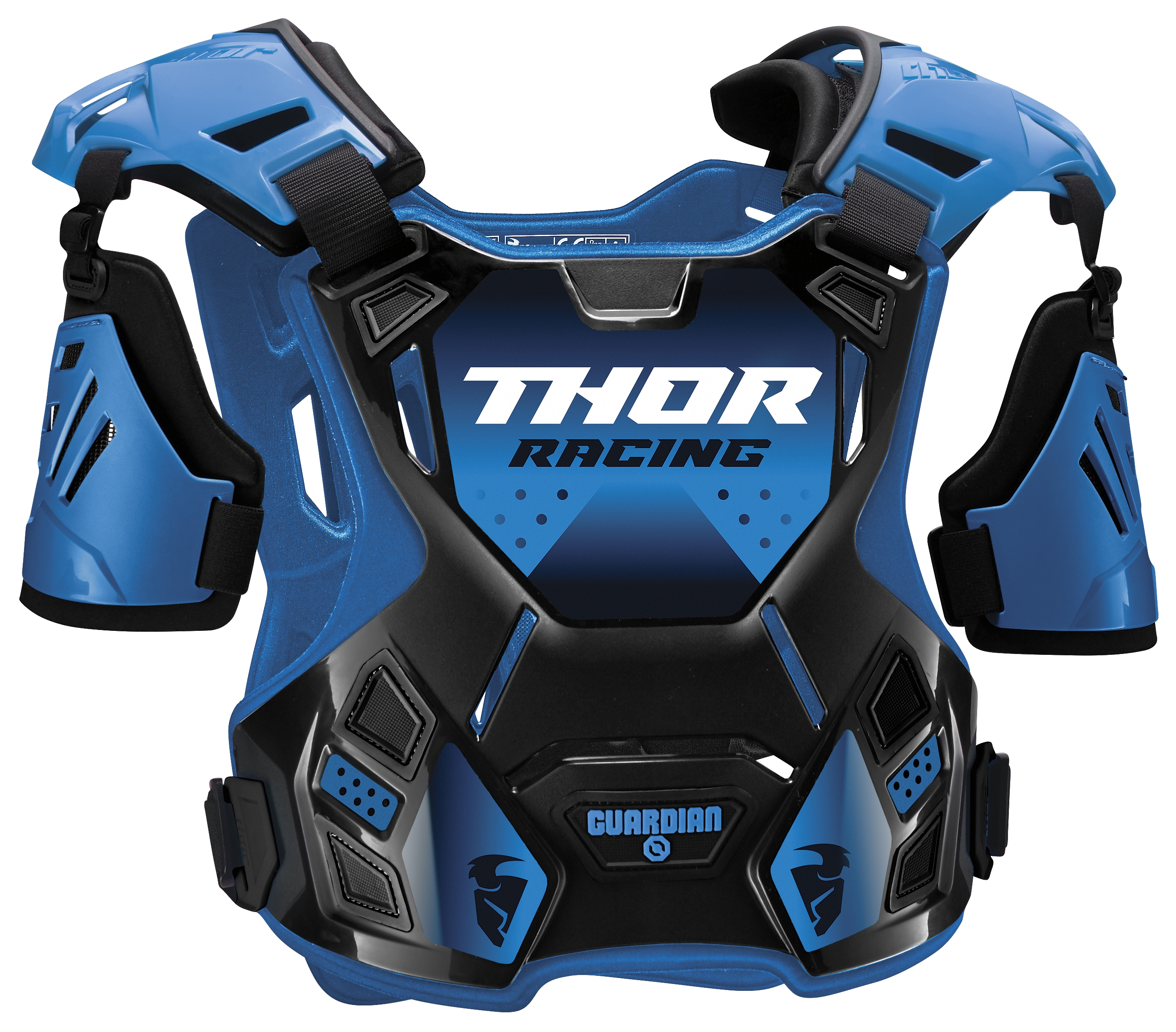 Thor Youth Guardian Roost Protector