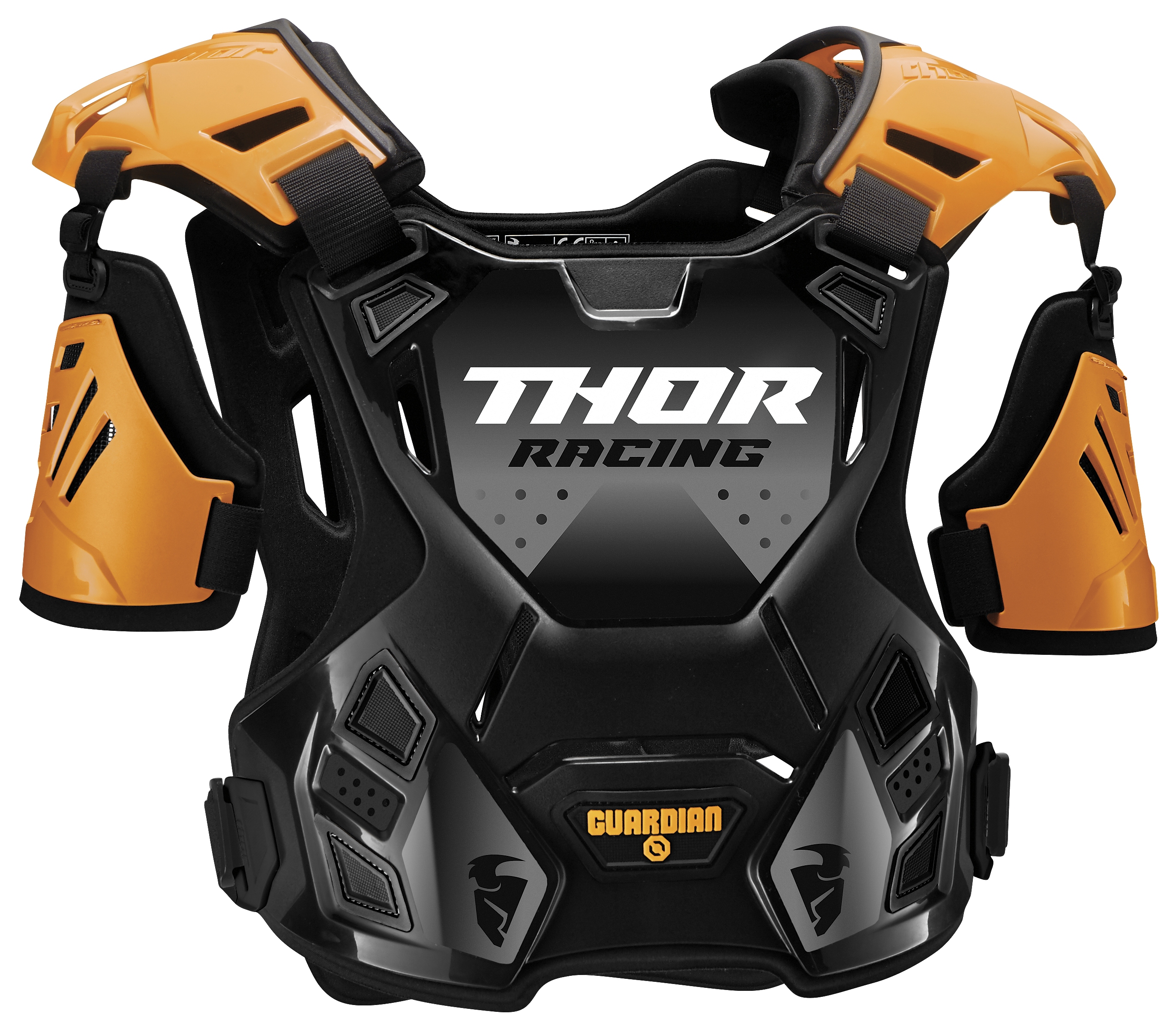 Thor Youth Guardian Roost Protector