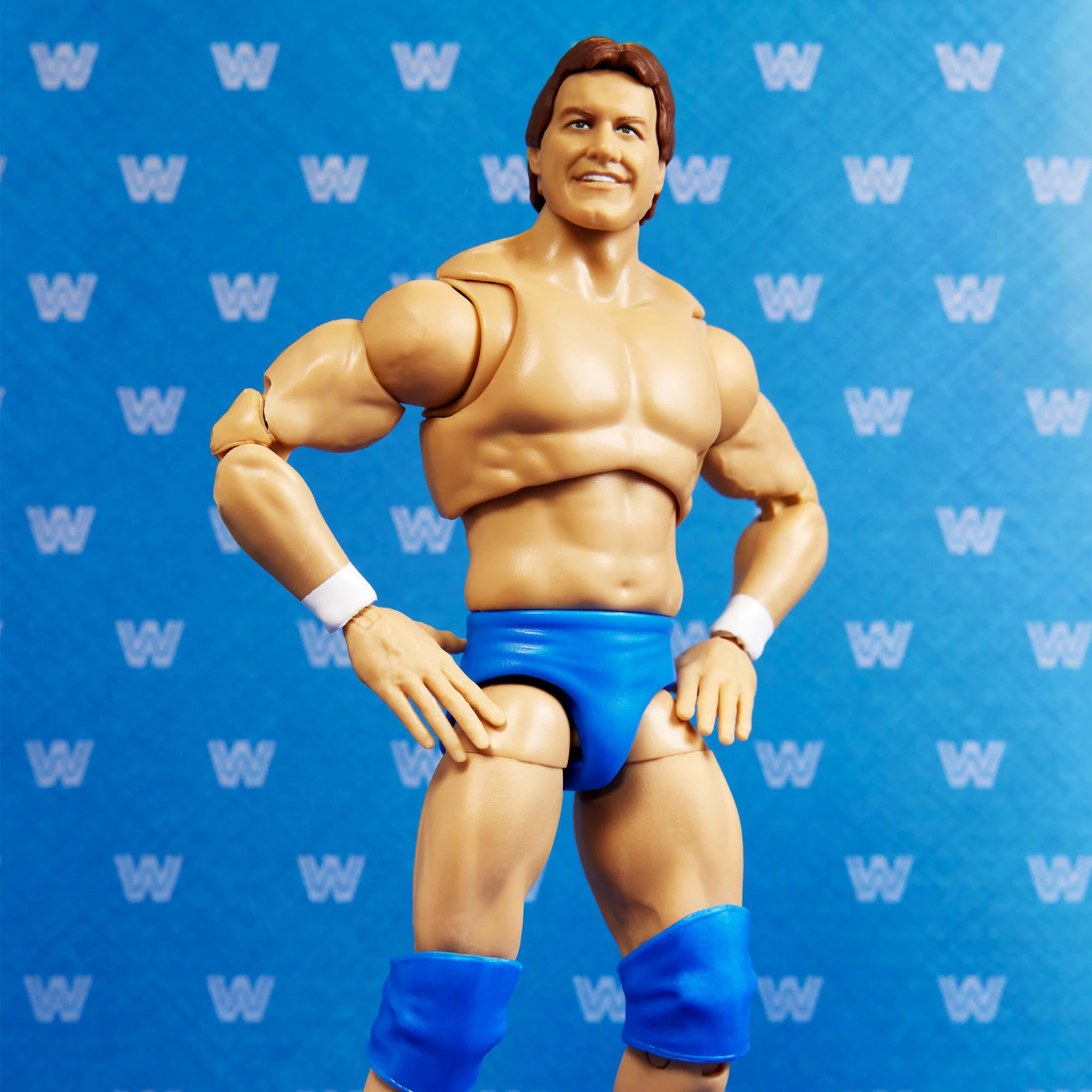 Mattel Creations WWE Ultimate Edition Coliseum Collection 