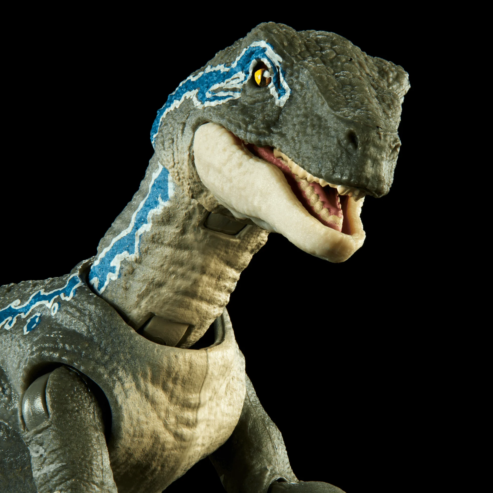 Mattel Creations Jurassic World Hammond Collection Velociraptor Blue Dinosaur Figure