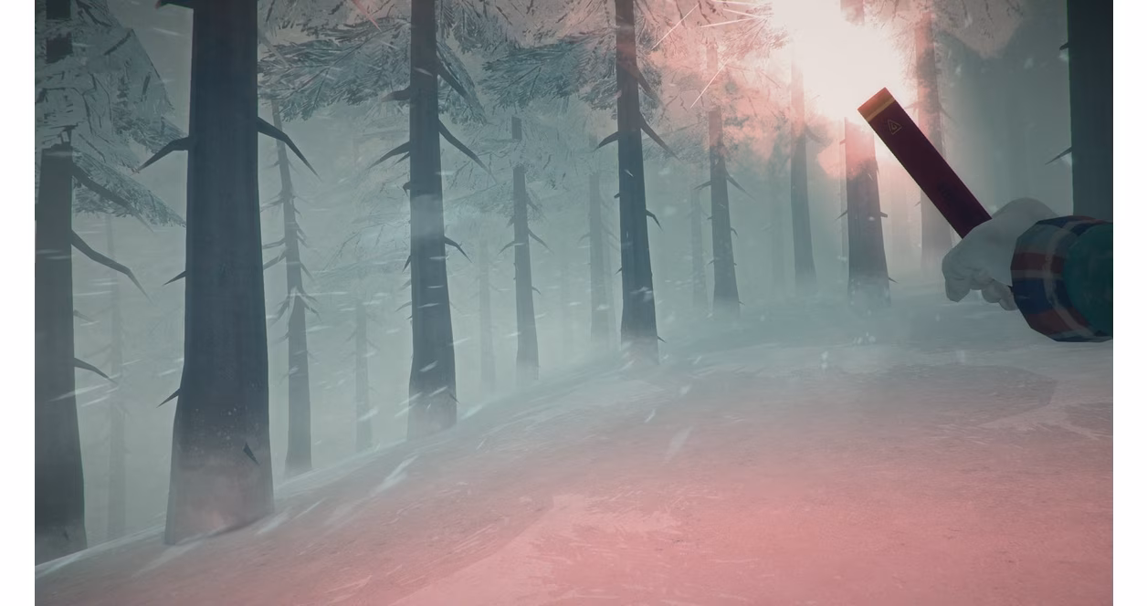 GameStop The Long Dark - PlayStation 4