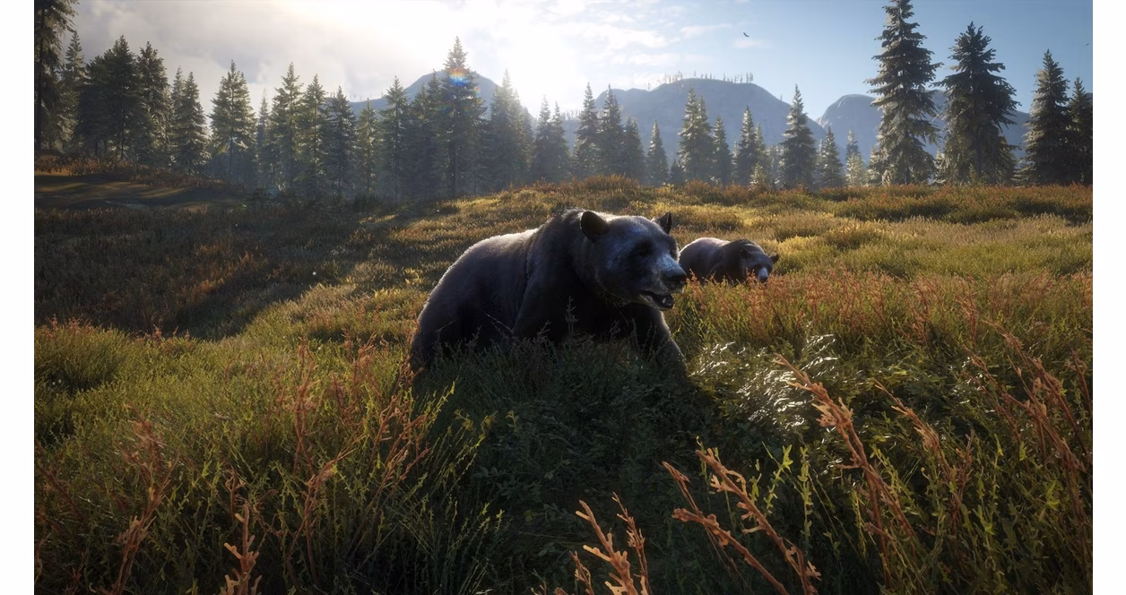 GameStop Hunter: Call of the Wild - Xbox One