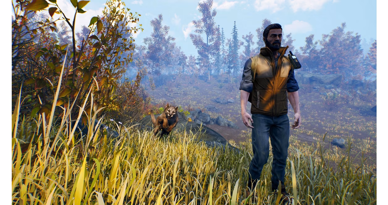 GameStop Open Country - PlayStation 4