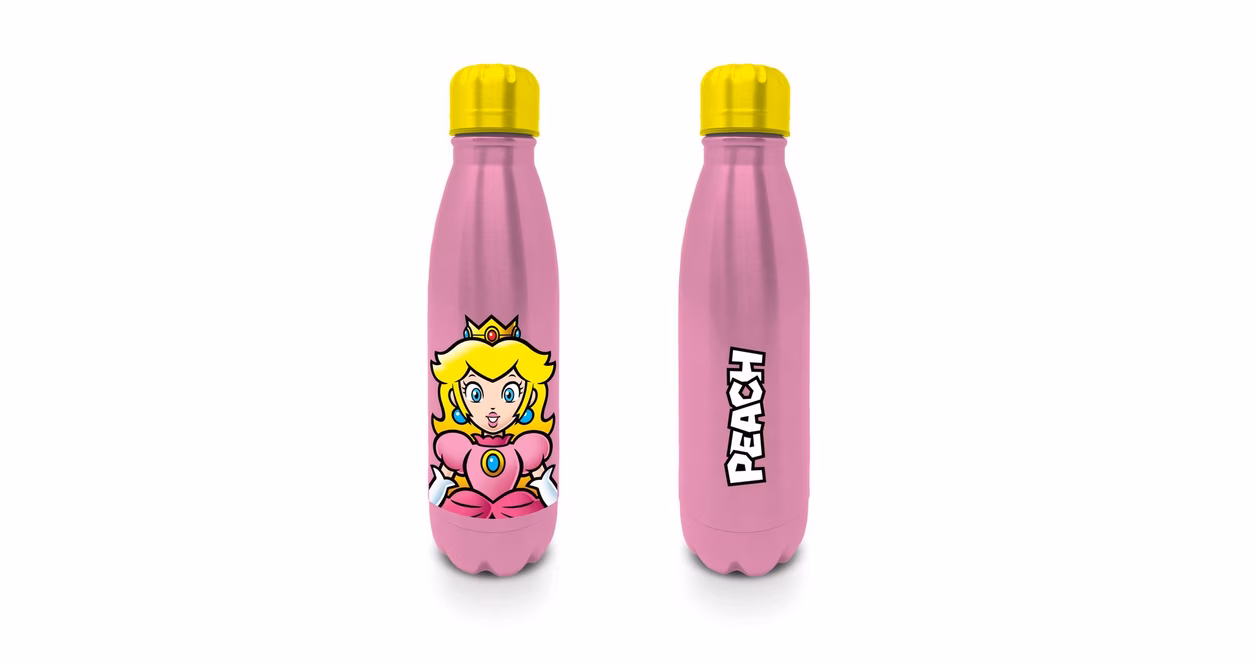 GameStop Mario Princess Peach 18oz Metal Water Bottle