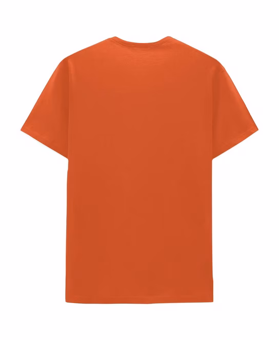 GameStop Pokemon Fire Type Unisex Short Sleeve Graphic Unisex T-Shirt GameStop Exclusive