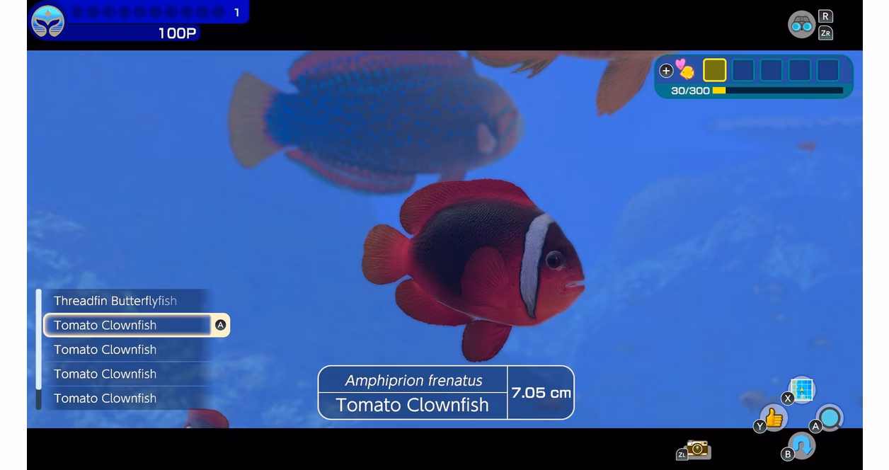 GameStop Endless Ocean Luminous - Nintendo Switch