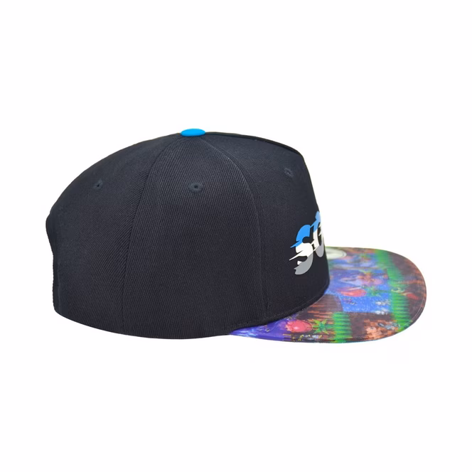 GameStop Sonic the Hedgehog Lenticular Brim Snapback Hat