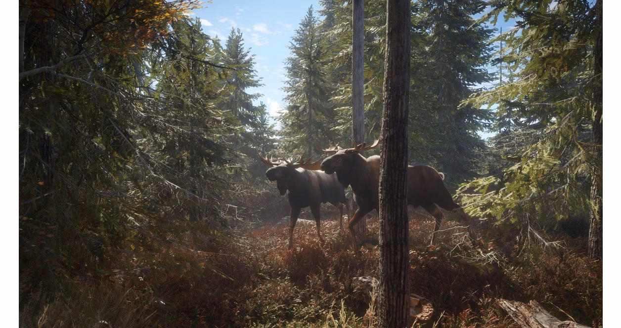 GameStop Hunter: Call of the Wild - Xbox One