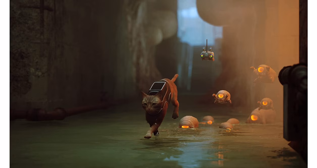 GameStop Stray - Xbox Series X, Xbox One