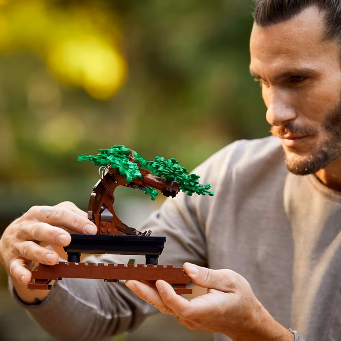 GameStop LEGO Botanicals Bonsai Tree Home Décor Set 10281