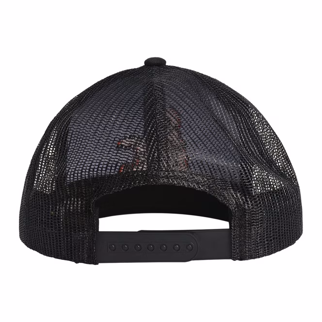 GameStop Dungeons and Dragons D20 Dice Skater Baseball Hat