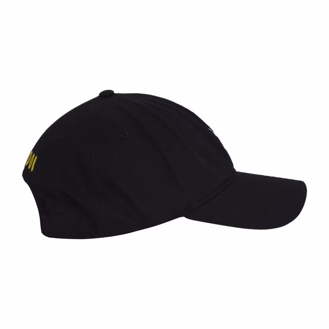 GameStop Sonic with Tokens Unisex Dad Hat