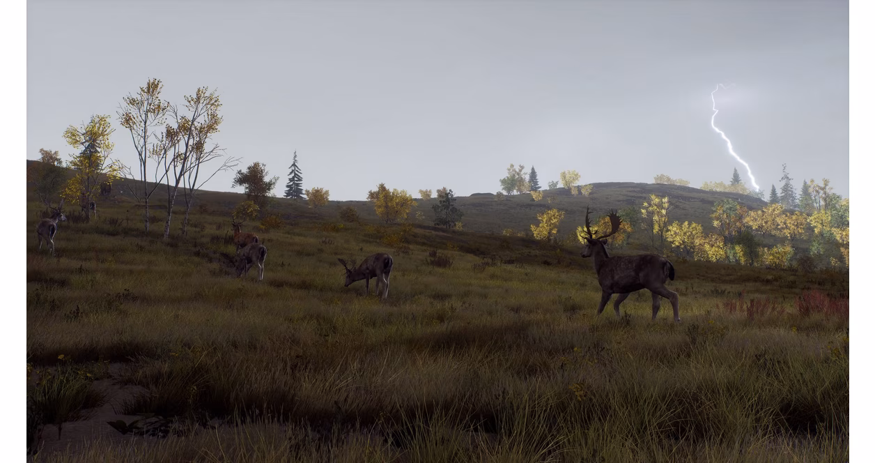 GameStop Way of the Hunter: Wild Expeditions- Xbox Series X
