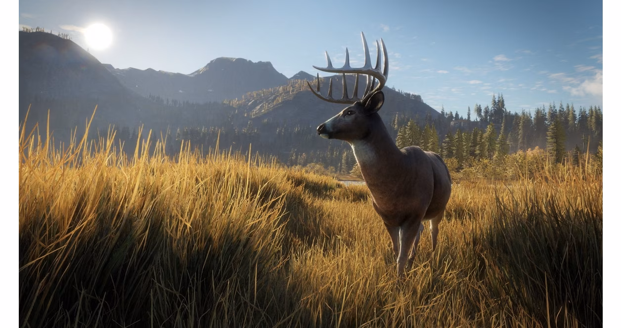 GameStop Hunter: Call of the Wild - Xbox One