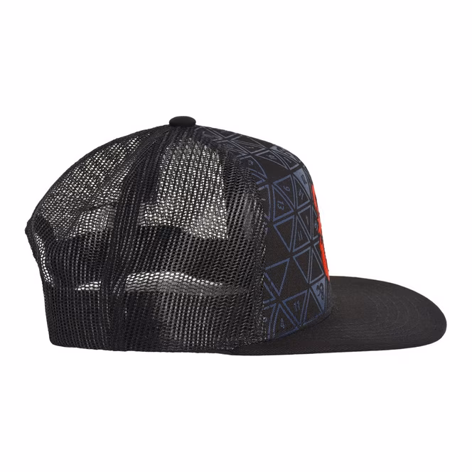 GameStop Dungeons and Dragons D20 Dice Skater Baseball Hat