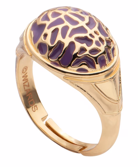 GameStop Dungeons and Dragons Adjustable 6-Piece Ring Set GameStop Exclusive
