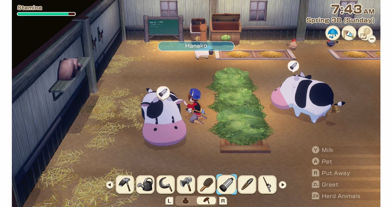GameStop Story of Seasons: Grand Bazaar - Nintendo Switch
