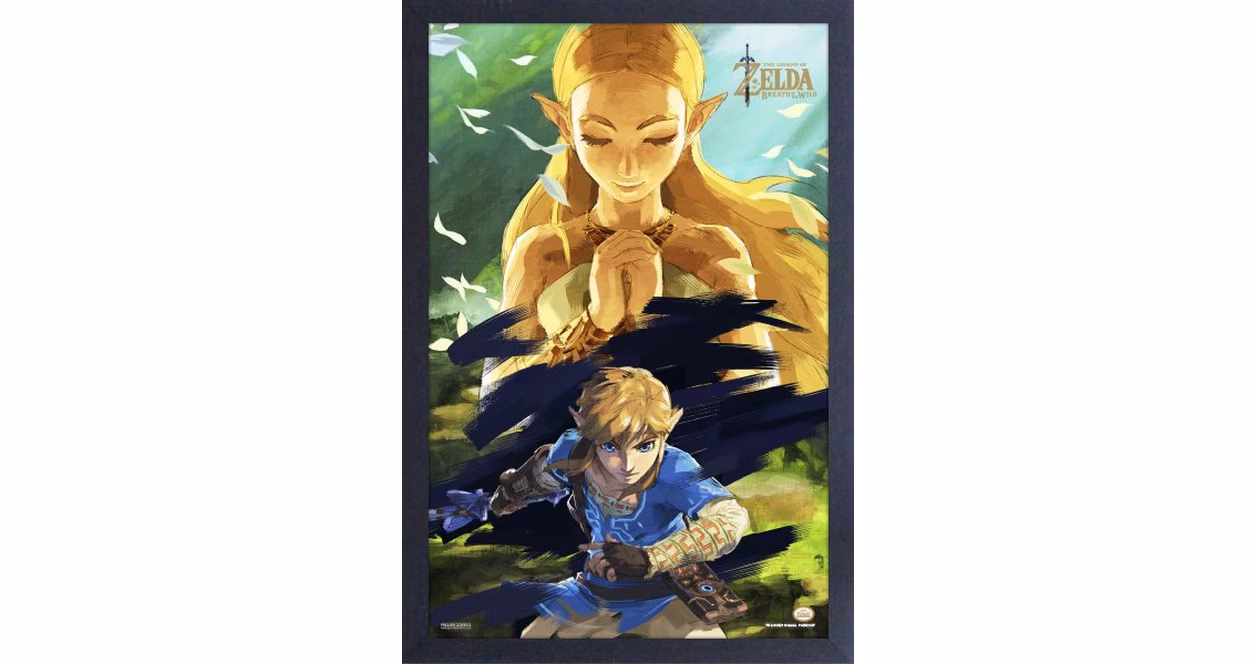 GameStop The Legend of Zelda: Breath of the Wild Zelda and Link 11-in x 17-in Framed Wall Poster