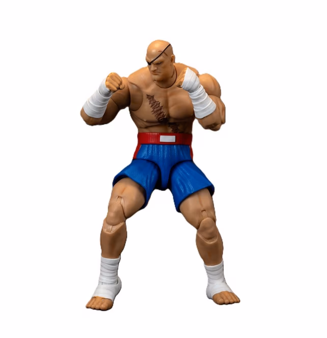 GameStop Ultra Street Fighter II Sagat Deluxe 6-In Action Figure